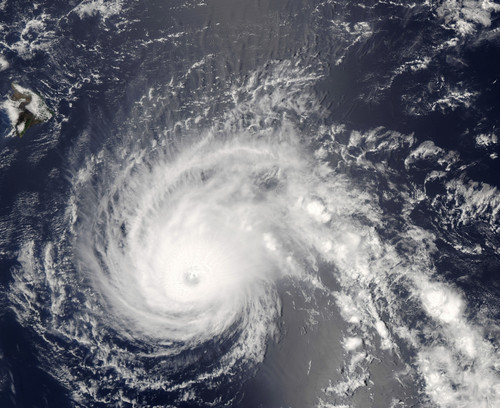 Hurricane Flossie Poster Print