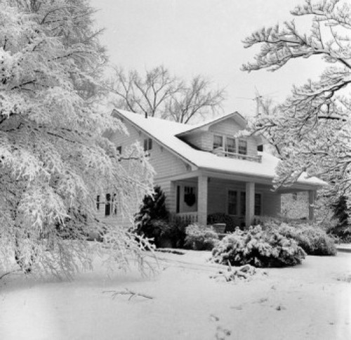 Winter scene Poster Print