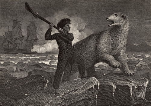 Nelson's Encounter With A Bear. Horatio Nelson, Lord Nelson, Viscount Nelson, 1758-1805. British Naval Commander. Illustration By Westall. From The Book The Life Of Nelson By Robert Southey Published London, 1883. PosterPrint - Item # VARDPI1859339