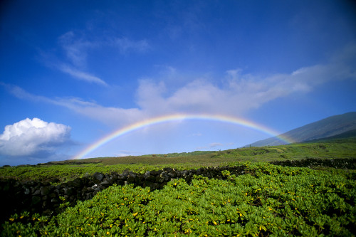 Hawaii, Maui, Rainbow Over Kaupo, B1453 PosterPrint - Item # VARDPI1999033