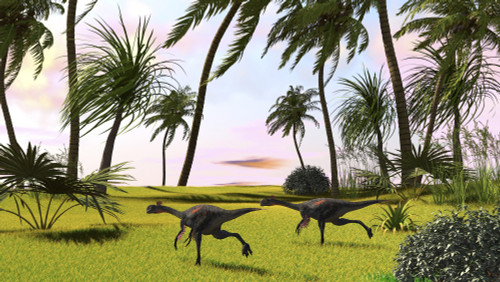 Two Gigantoraptors running across a grassy field Poster Print - Item # VARPSTKVA600231P