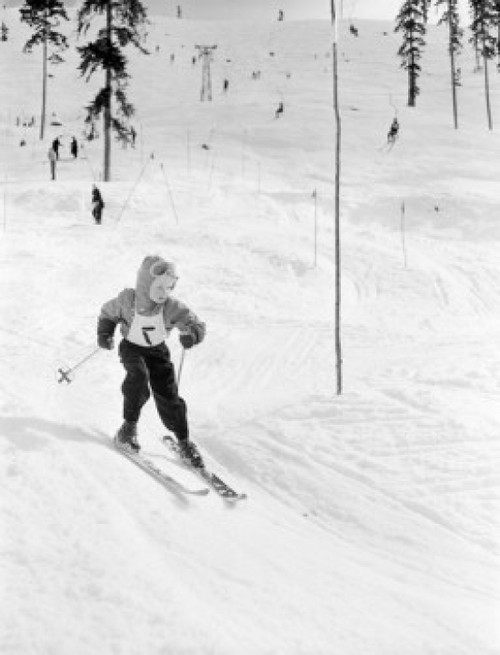 Boy skiing  high angle view Poster Print - Item # VARSAL255424557