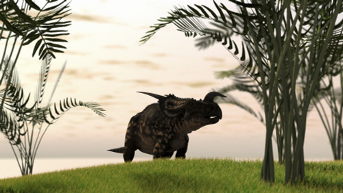 Brown Einiosaurus walking in a field Poster Print - Item # VARPSTKVA600193P