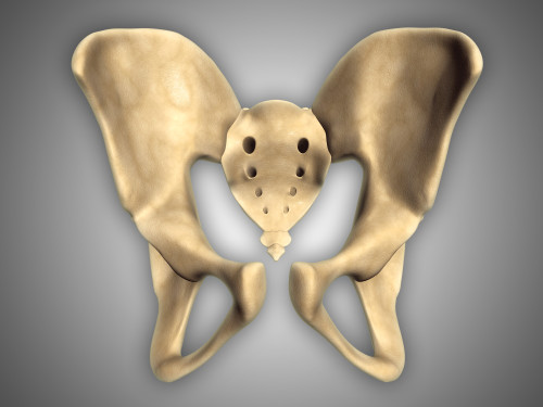 Anatomy of human pelvic bone Poster Print