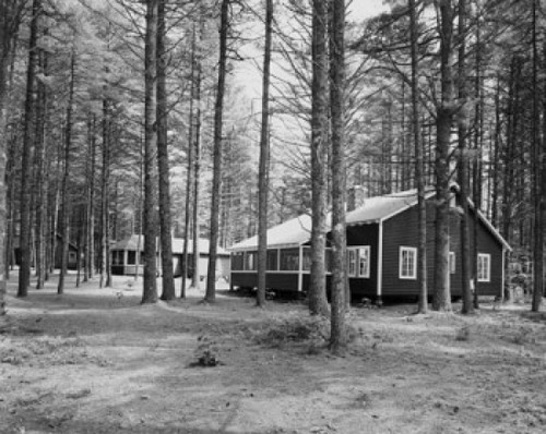 Houses surrounded by trees Poster Print - Item # VARSAL25547760