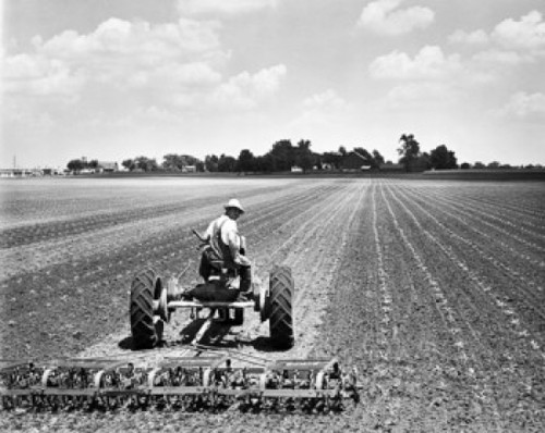 Rear view of a farmer plowing a corn field with a tractor  Kankakee  Illinois  USA Poster Print - Item # VARSAL25530491