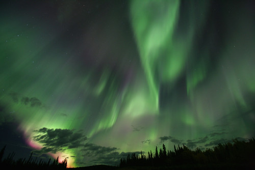 Northern Lights, Yukon PosterPrint
