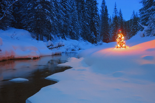 Glowing Christmas Tree By Mountain Stream PosterPrint - Item # VARDPI1814697