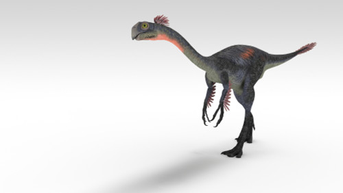 Gigantoraptor dinosaur, white background Poster Print - Item # VARPSTKVA600738P