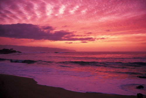 Hawaii, Oahu, North Shore, Waimea Bay At Sunset, Pink Yellow And Orange Skies PosterPrint - Item # VARDPI1998081
