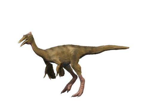 Pelecanimimus polydon, Early Cretaceous of Spain Poster Print - Item # VARPSTNBT600052P