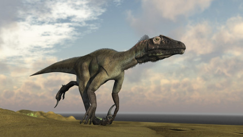 Utahraptor running across a barren desert Poster Print - Item # VARPSTKVA600686P