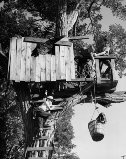 Low angle view of three children playing in a tree house Poster Print - Item # VARSAL25511116