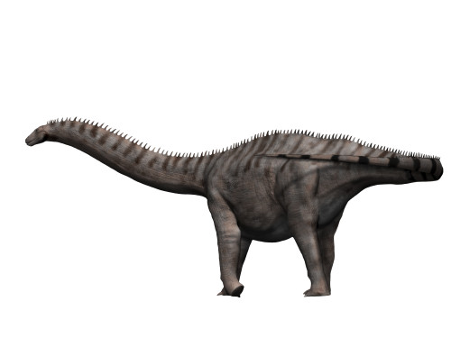 Apatosaurus is a sauropod dinosaur from the Jurassic Period Poster Print - Item # VARPSTNBT600070P