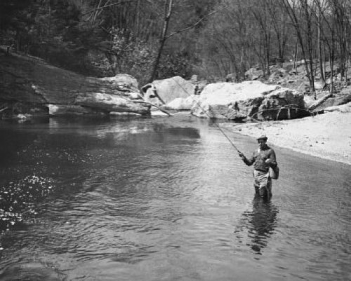 Mid adult man fly-fishing in a lake Poster Print - Item # VARSAL25521283