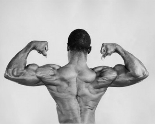 Rear view of a young man flexing his muscles Poster Print - Item # VARSAL25524326