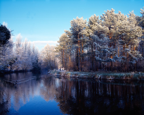 Lagan Meadows During Winter, Belfast, Co Antrim, Ireland PosterPrint - Item # VARDPI1815911