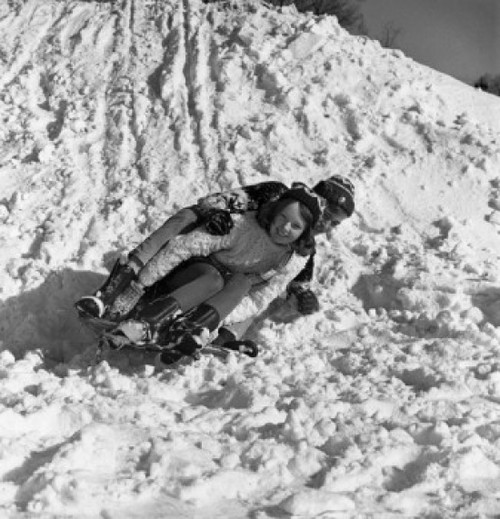 Children on sledge Poster Print - Item # VARSAL255418128