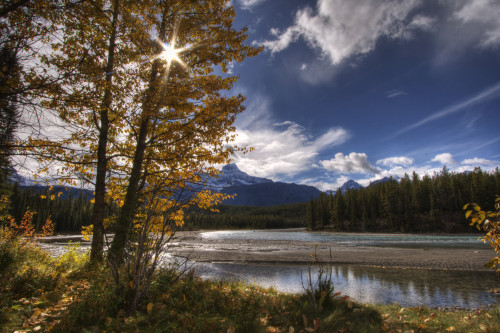 Athabasca River With Mount Fryatt In The Background, Jasper National Park, Alberta PosterPrint - Item # VARDPI2034995