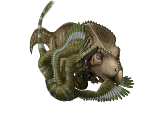 A Velociraptor mongoliensis attacks a Protoceratops andrewsi Poster Print - Item # VARPSTYPR600022P