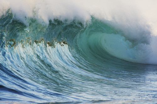 Hawaii, Oahu, North Shore, Beautiful Wave Breaking. PosterPrint - Item # VARDPI1976531