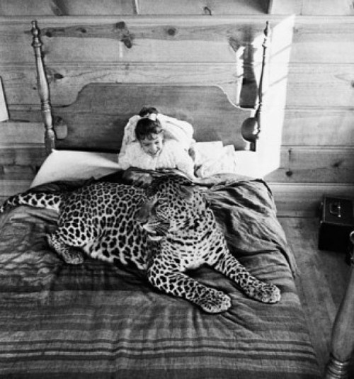High angle view of a girl sitting on the bed with a leopard Poster Print - Item # VARSAL9903496