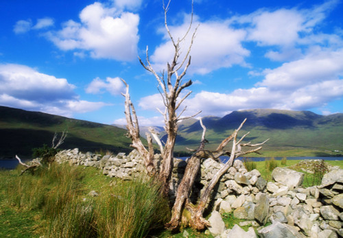 Killary Harbour, Connemara, Co Galway, Ireland; Ireland's Only Fjord PosterPrint - Item # VARDPI1808070