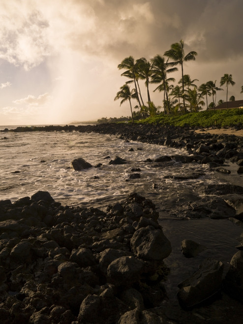 Rocky Coastline, Poipu, Kauai, Hawaii PosterPrint - Item # VARDPI1824460