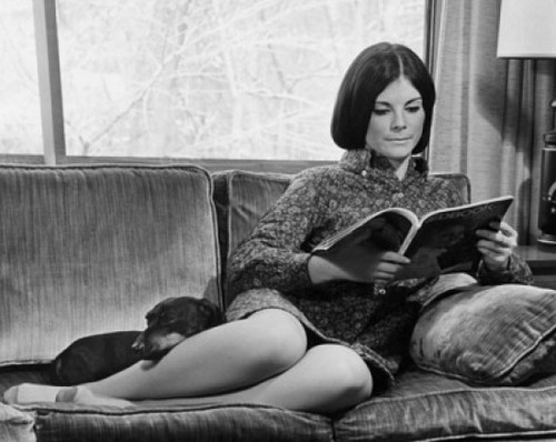 Young woman sitting on couch reading magazine with dog Poster Print - Item # VARSAL25527191A