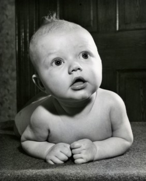 Portrait of baby crawling Poster Print - Item # VARSAL2559374