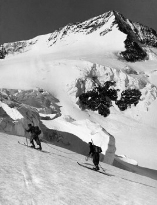 Two people skiing  Wetterhorn  Switzerland Poster Print - Item # VARSAL255508