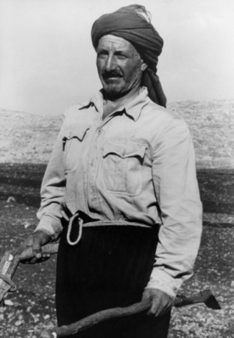 Syrian farmer Poster Print - Item # VARSAL25547823