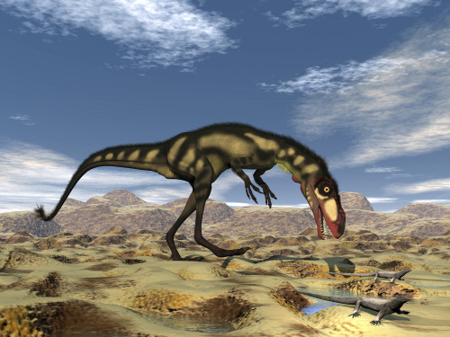 Dilong dinosaur hunting small lizards in the desert Poster Print - Item # VARPSTEDV600225P