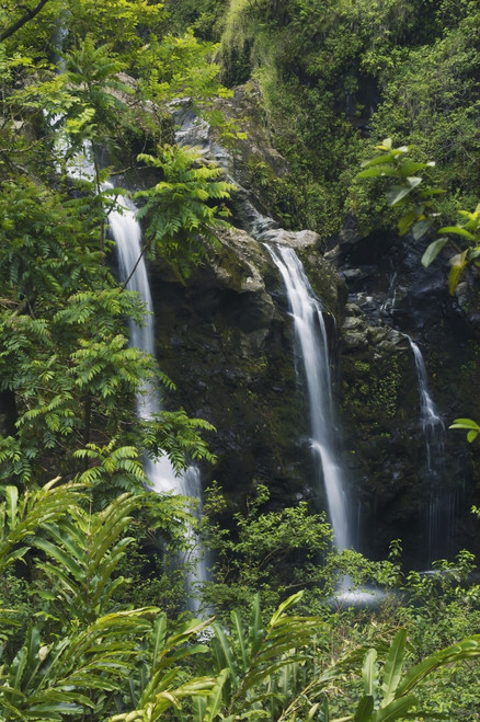 Hawaii, Maui, Hana Coast, Waterfalls Along The Hana Highway. PosterPrint - Item # VARDPI1989467