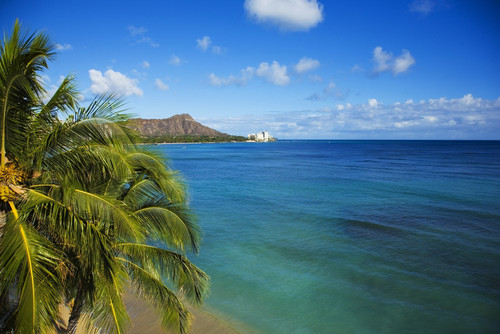 USA, Hawaii, Honolulu, View of Diamond Head; Waikiki PosterPrint - Item # VARDPI1977441