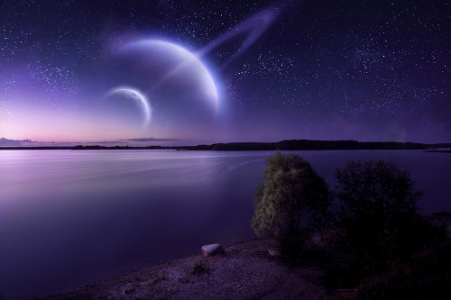 Two planets hover over a large, calm lake with lonely trees on the shore Poster Print - Item # VARPSTEVK200046S