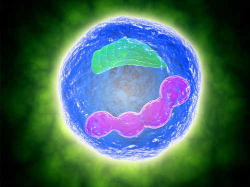 Conceptual image of human cell Poster Print - Item # VARPSTSTK700408H