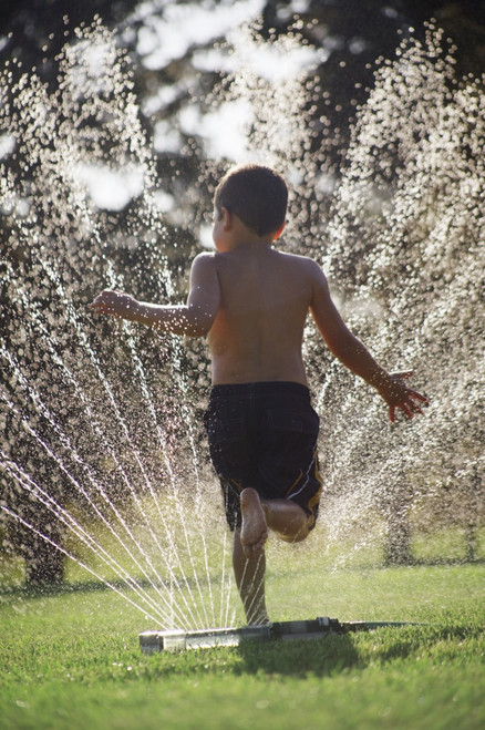 Running Through The Garden Sprinkler PosterPrint - Item # VARDPI1773170