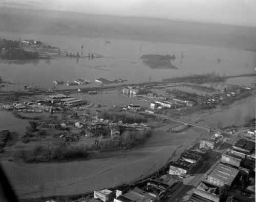 USA  Washington State  Snohomish  Flood from melting snows in Cascade Mountains Poster Print - Item # VARSAL255421497