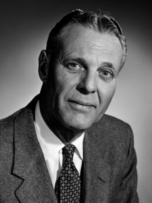 Studio portrait of businessman smiling Poster Print - Item # VARSAL25512393D