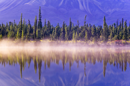 Forest Reflects In Drashner Lake W/Mist Along Shoreline Ak Range In Background Southcentral Alaska Autumn PosterPrint - Item # VARDPI2319315