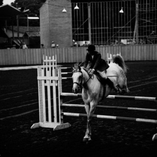 Horse and rider at show jumping event Poster Print - Item # VARSAL255424918