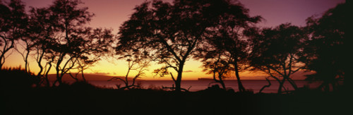 USA, Hawaii, Molokini Island In Distance; Maui, Trees Silhouetted On West Maui Shoreline PosterPrint - Item # VARDPI1976447