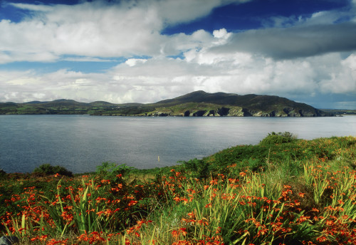 Inishowen Peninsula, Co Donegal, Ireland; View From The Shore To The Fanad Peninsula PosterPrint - Item # VARDPI1807338
