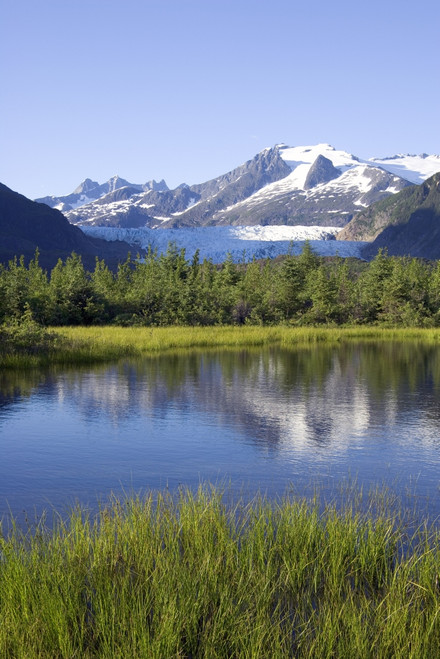 View Of Mendenhall Glacier With Pond And Green Grass In Foreground Juneau Southeast Alaska Summer PosterPrint - Item # VARDPI2103840