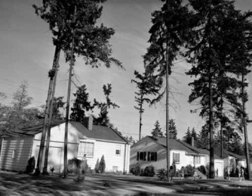 Children playing in front of houses  Wedgwood  Seattle  Washington  USA Poster Print - Item # VARSAL2556770