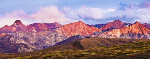 Alaska Range And Fall Colours At Sunset, Denali National Park, Alaska PosterPrint - Item # VARDPI2032237