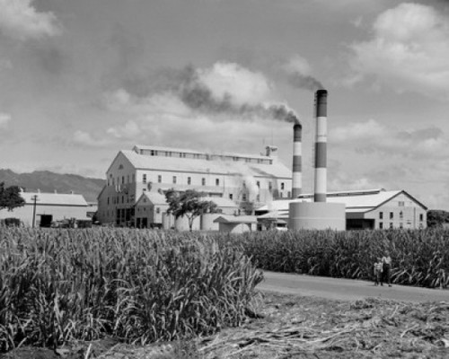 USA  Hawaii Islands  Oahu  Sugar mill  at Ewa Plantation Poster Print - Item # VARSAL255419879