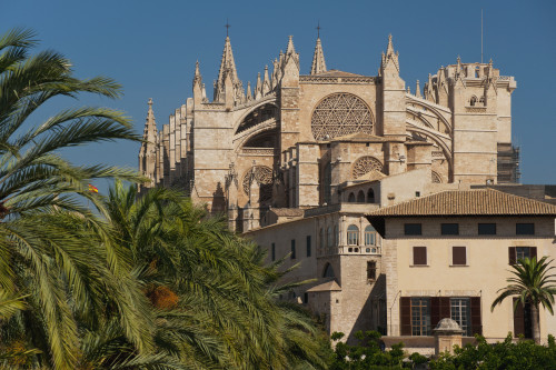 Spain, Majorca, Palm trees in Parc de la Mar leading to Cathedral; Palma PosterPrint - Item # VARDPI2295640