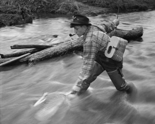Mid adult man fly-fishing in a stream Poster Print - Item # VARSAL25518578